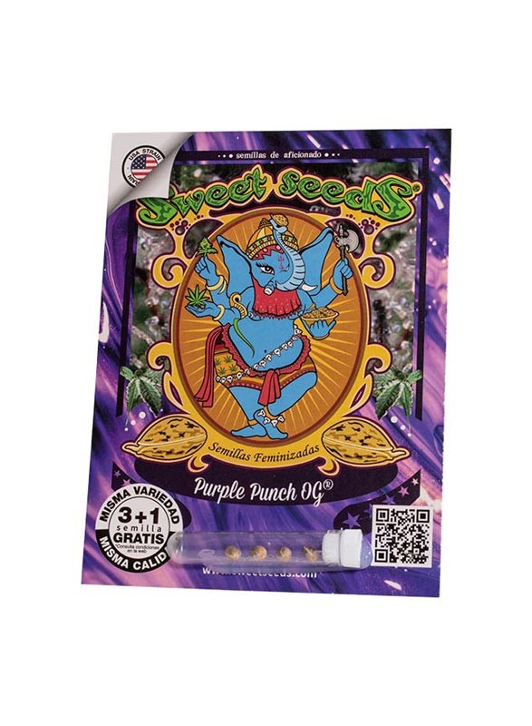 purple punch og