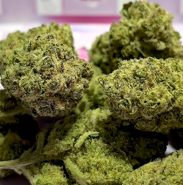 ce1b1d 985c1d55dd7047eb91d8a9ee99a48dca~mv2