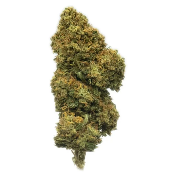 Pink Lady SINGLE 3 600x600