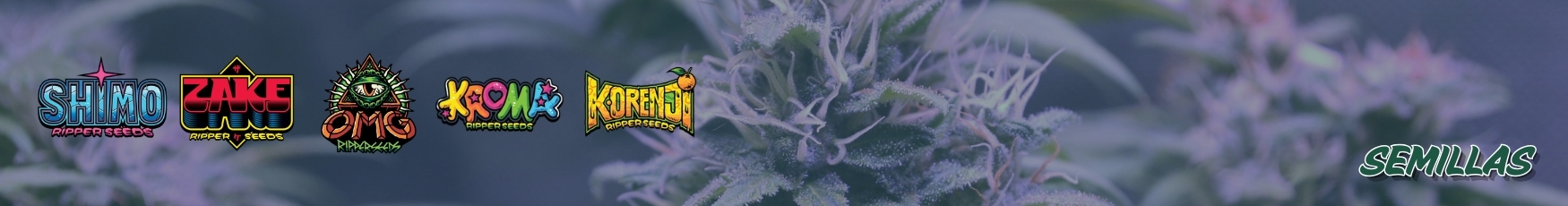 banner categoria semillas banner categoria semillas